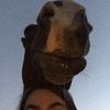 aleeyah__2019